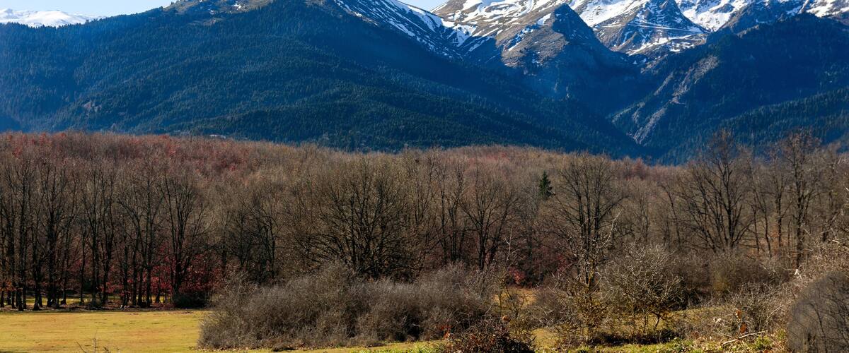 A mountain range with snow-capped peaks and a forested valley.