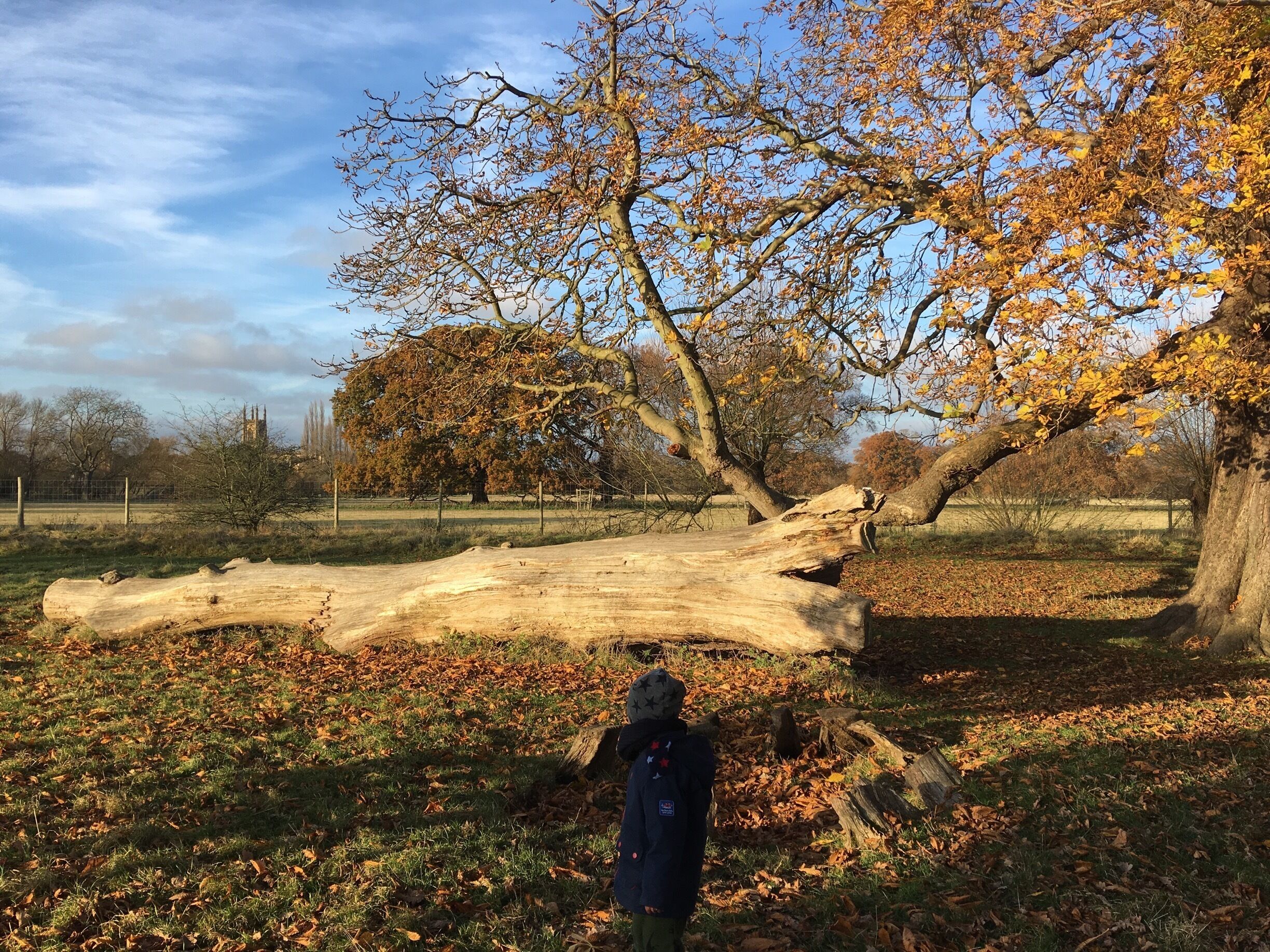 #beautifulweather#clearsky#brightsun#lovelyplace#