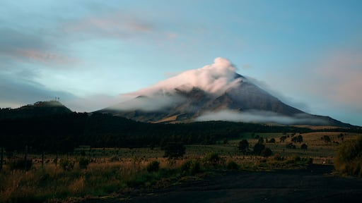 特貝特立克斯巴