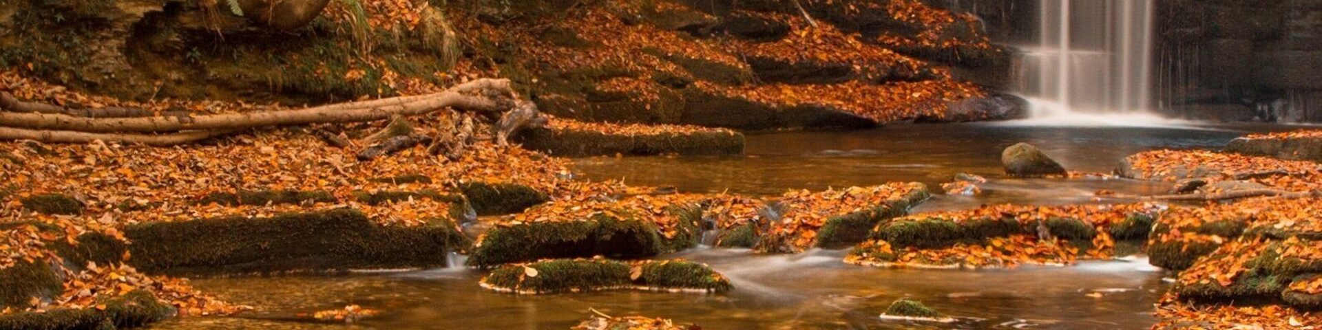 Plas Power woods Bersham, Wrexham North Wales.
Nant Mill waterfall during the Autumn months, hidden away in splendid woodland. There are plenty of walks in the area with lots of nature and wildlife to enjoy.