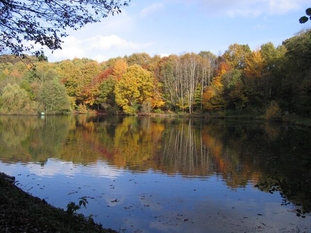 Autumn tints at Moss Valley Country Park A view across the lower lake at Moss Valley Country Park. http://www.wrexham.gov.uk/english/leisure_tourism/moss_valley.htm