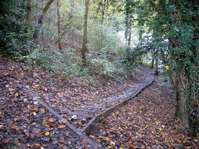 Flight of steps at Moss Valley Country Park. This flight of steps leads down to the lower lake, at Moss Valley Country Park, from the former trackbed of the Wrexham Mold and Connah's Quay Railway. See also the same steps coming up 1037597 http://www.wrexham.gov.uk/english/leisure_tourism/moss_valley.htm
