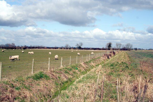 A rural landscape with a fenced field, sheep grazing, and a cloudy sky.