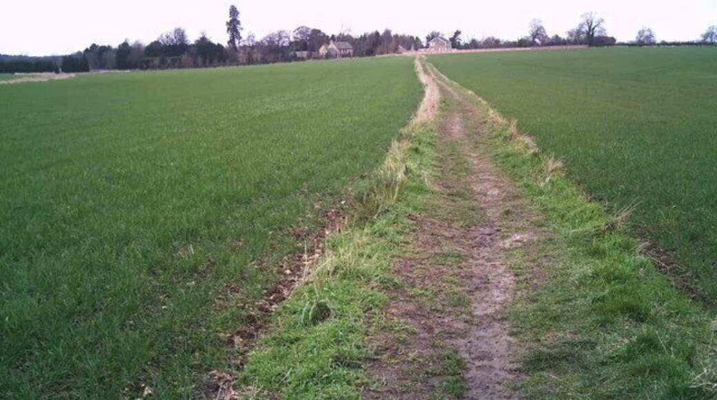 Footpath to Cawthorpe from A15 This footpath is well-used and maintained as a path: the pedestrians and a few cyclists have crops in varying stages of growth from being ploughed up to walking by crops as tall as a child all within a year.