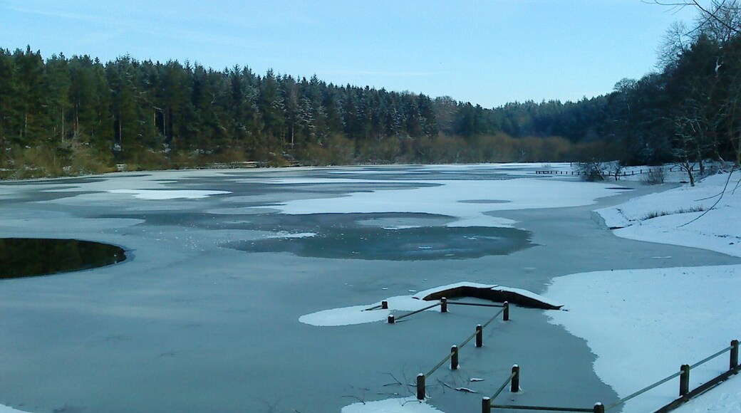 Sprinksburn end of Swinsty Reservoir Sprinksburn was engulfed by Swinsty Reservoir when the dam was built. and due to the causeway that the road is on, this end of the reservoir has far more ice than the main stretch of open water.