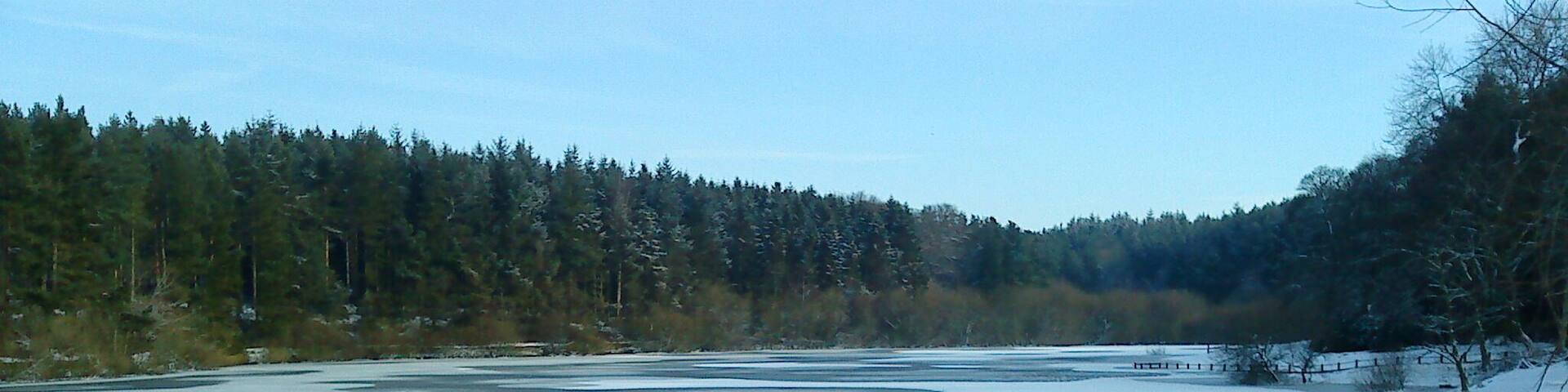 Sprinksburn end of Swinsty Reservoir Sprinksburn was engulfed by Swinsty Reservoir when the dam was built. and due to the causeway that the road is on, this end of the reservoir has far more ice than the main stretch of open water.