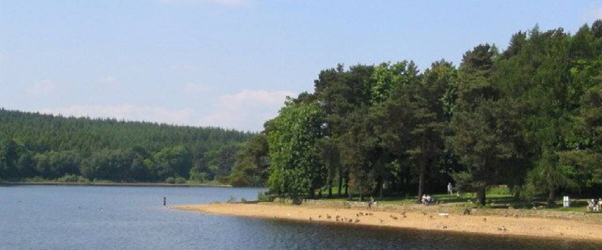 Swinsty Reservoir. A view of the lakeside picnic area at Swinsty, taken looking North west.