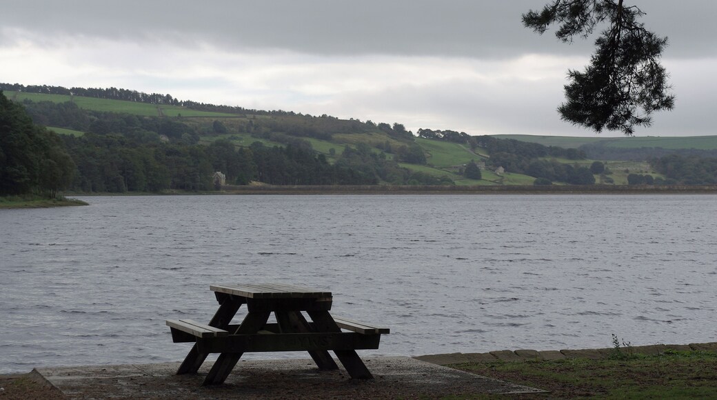 A picnic bench on the edge of Swinsty Reservoir north of Harrogate. Very very cold.