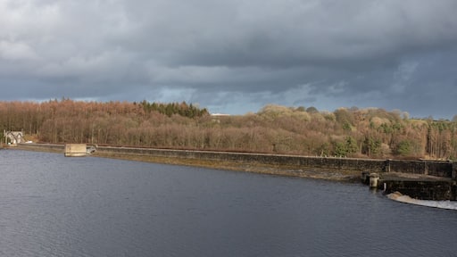 Ein Fluss mit einer Brücke, einer Steinmauer und einem bewaldeten Hügel unter einem bewölkten Himmel.