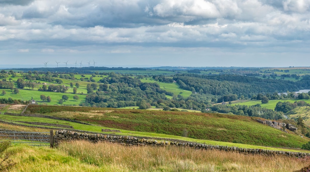 A rural landscape with rolling hills, a stone wall, a gate, and wind turbines in the distance.