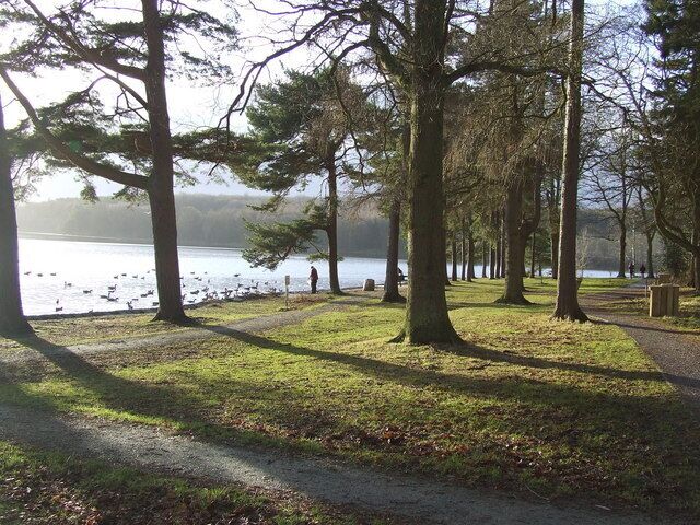 Un parque junto al lago con árboles, un sendero y patos.