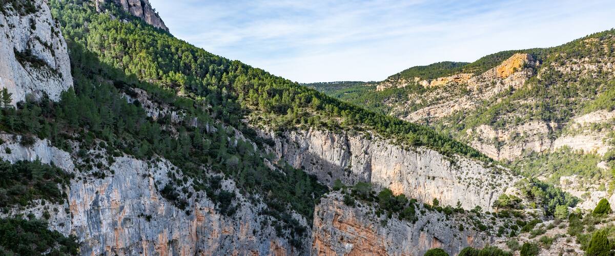 A rugged cliff with a cave entrance, surrounded by dense green forest and rocky terrain.