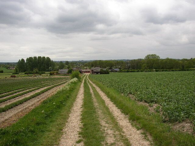 Track to Cadwell, Holwell CP. This is the bridleway that runs straight across the fields from the county boundary at Wilburyhill to Cadwell.
