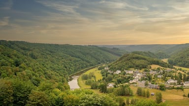 Une vallée traversée par une rivière, entourée de forêts denses et abritant un petit village avec des maisons et des bâtiments.