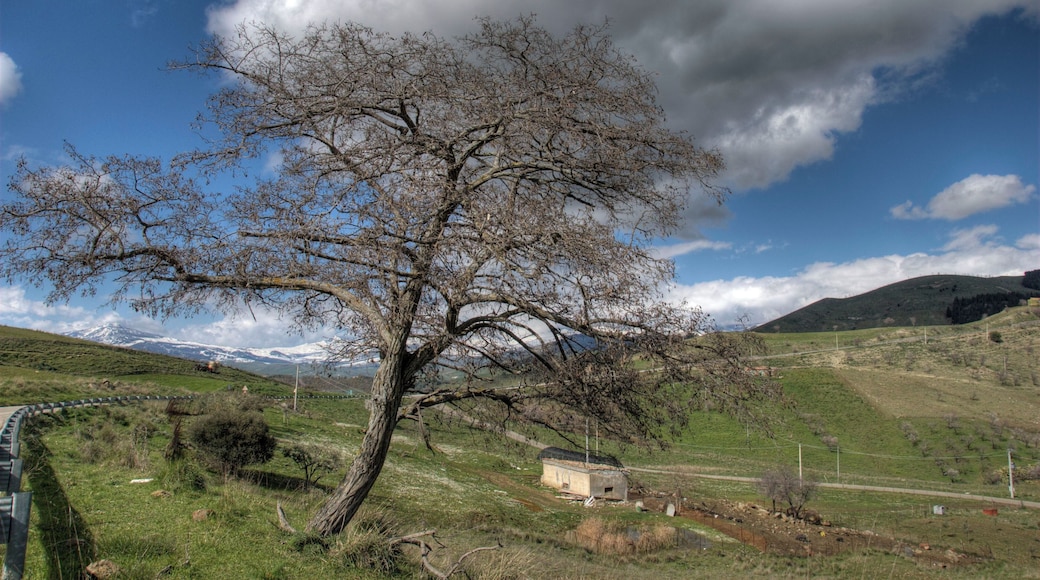 Gagliano - Strada per Troina - C.da Lariazza