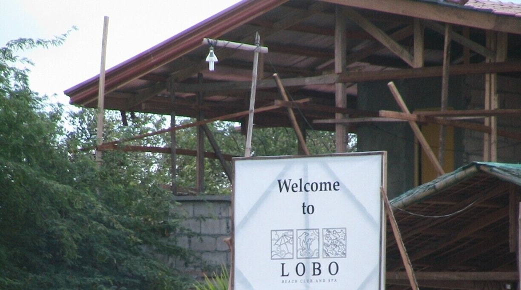 Lobo is a third class municipality in the Province of Batangas, Philippines. According to the 2010 census, it has a population of 37,070 people.
Lobo is about 145 kilometres (90 mi) from Manila located near the southern tip of Batangas province. Lobo offers many attractions. It has good white sand beaches whose ocean floor slopes gradually for nearly 200 meters before a drop-off. It has very good coral and marine life on some of its beaches that attract many snorkelers, scuba divers and underwater photographers. It also has protected mangrove forests and fish sanctuaries.
The name "Lobo" may have come from the Tagalog term for "wolf", which is lobo, the River Lobo, which flows through Lobo itself, or the name of a group of early inhabitants, known as Lolobos.