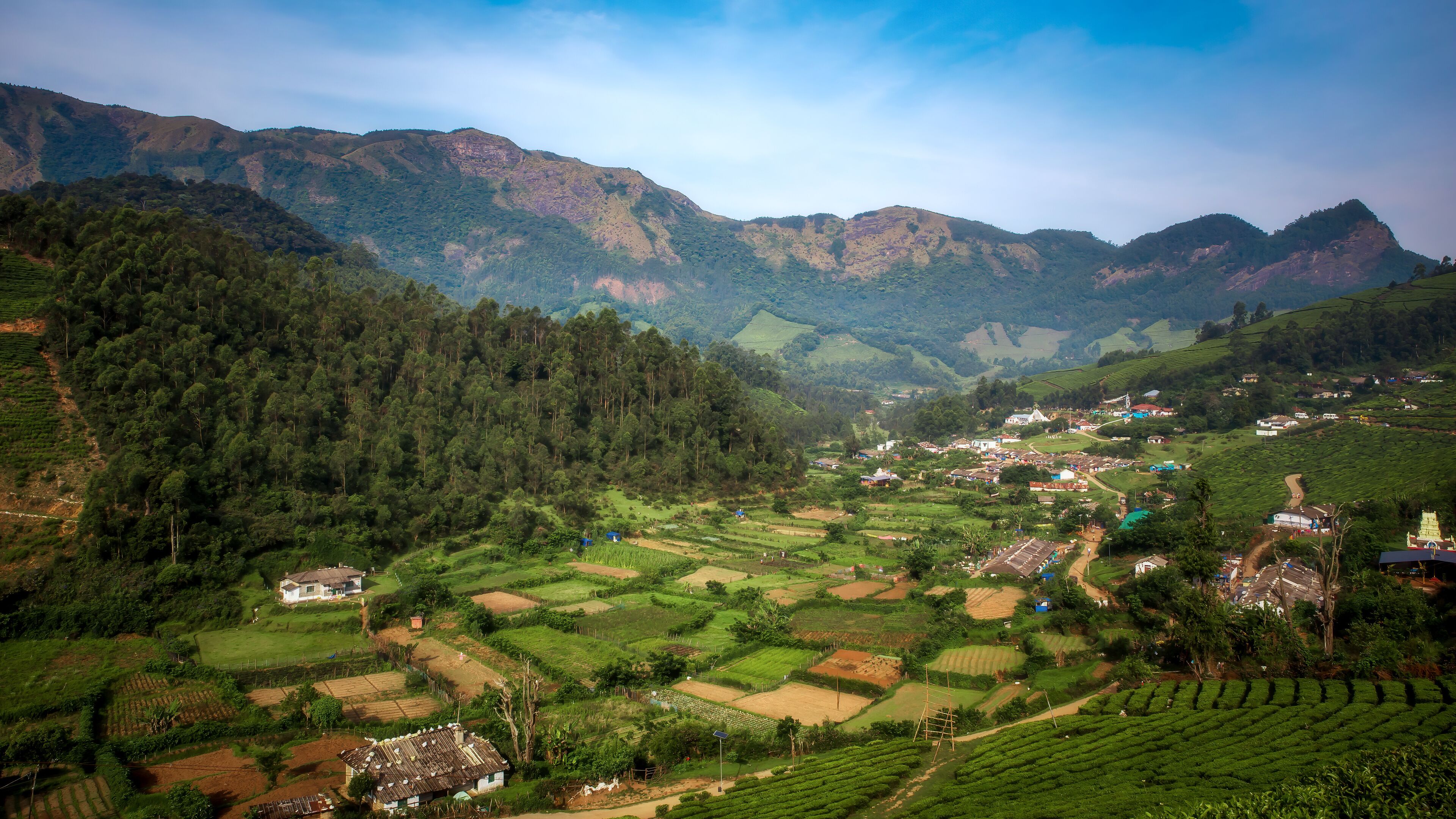 Beautiful Agriculture Farm Field View in Vattavada in Munnar,Idukki District, Kerala, India