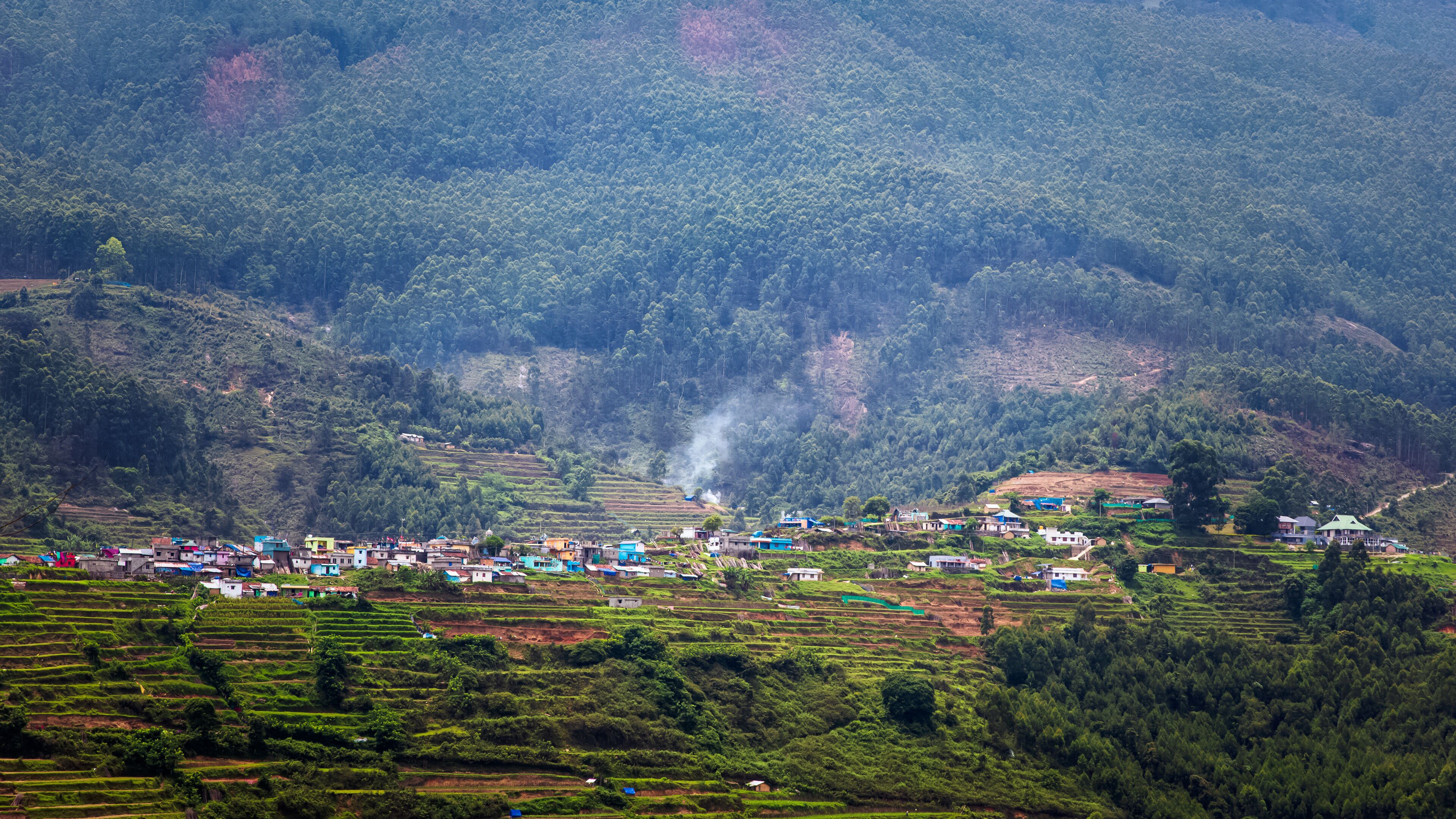 Beautiful Agriculture Farm Field View in Vattavada in Munnar,Idukki District, Kerala, India