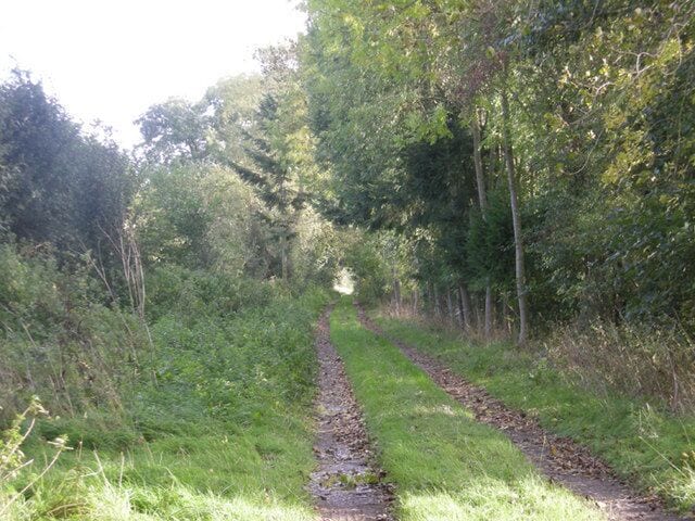 Route of the Roman road across Wigmore Moor