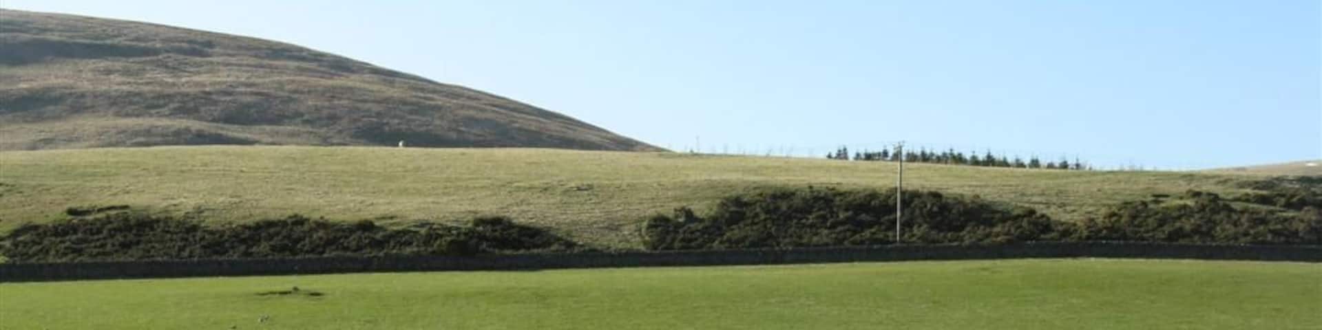 A grassy field with a hill in the background.