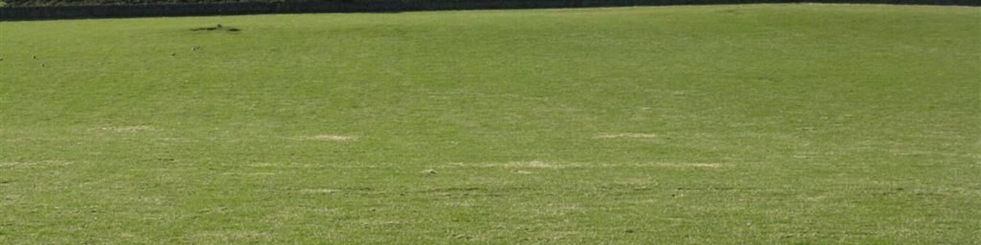 Pasture at Patieshill