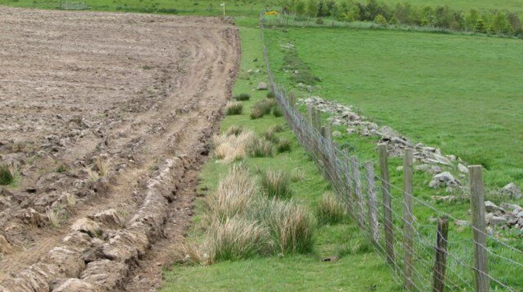 Field boundary footpath. Way marked path to Braid Law, below Scroggy Hill.
