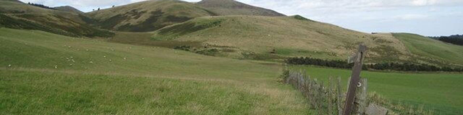 Farmland below Monks Rig. Compare with 184234, which shows the same field just over 3 years ago.