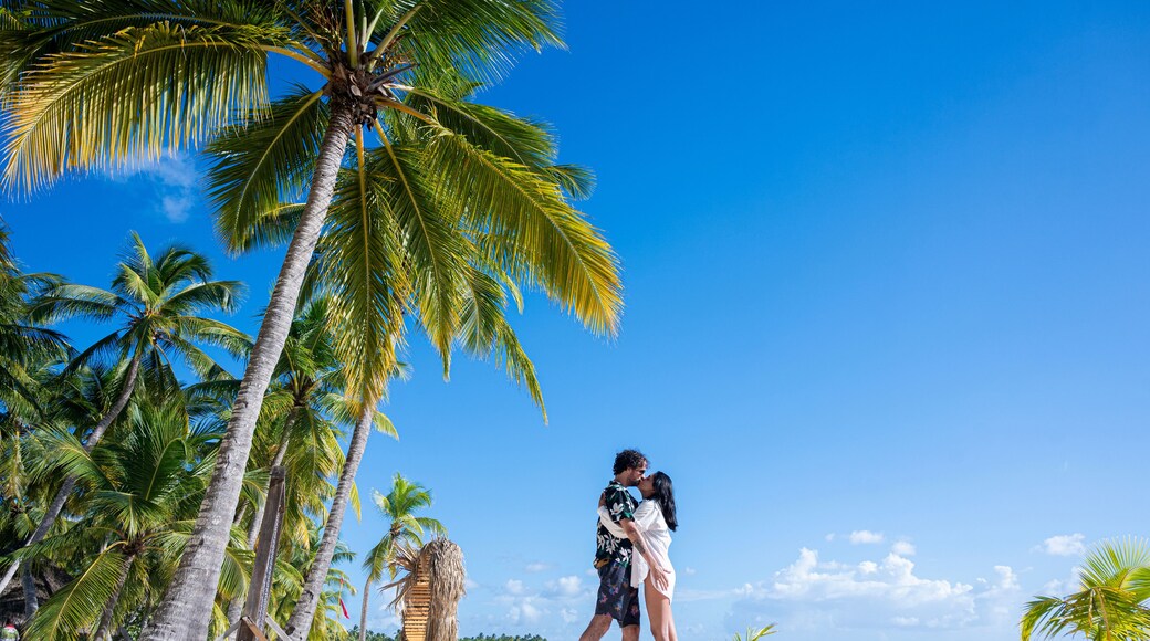 Couple kissing on a beach in the Dominican Republic, Saona Island