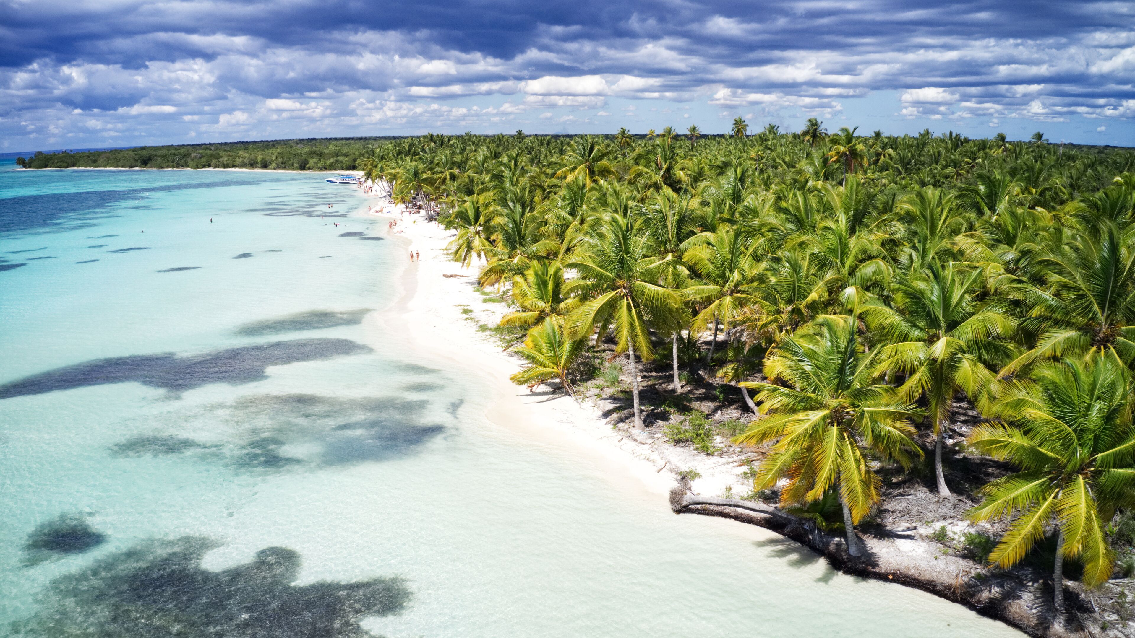 Aerial of a wonderful exotic tropical caribbean beach, Saona, Dominican Republic 