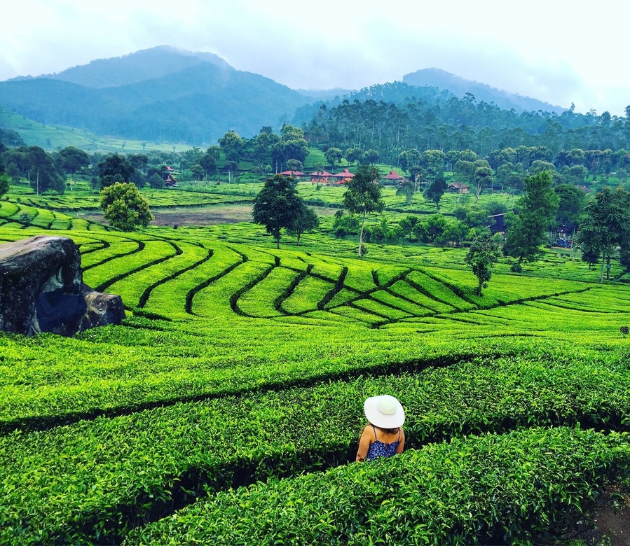 The south of Bandung offers a distinct type of beauty – rolling green landscapes of tea plantations with tropical rainforest and hills in the distance. It might be a long drive, and one filled with congestion especially during the weekends, but it’s one worth taking if you’re already in Bandung.