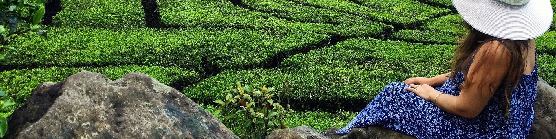 Just Chilling and Enjoying the View of the Beautiful Tea Plantation đâïžđ