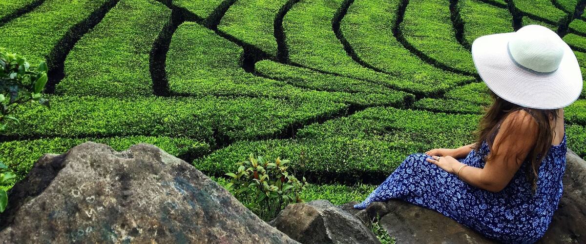 A woman in a blue dress and white hat sitting on a rock, overlooking a lush green tea plantation with terraced fields and distant mountains.