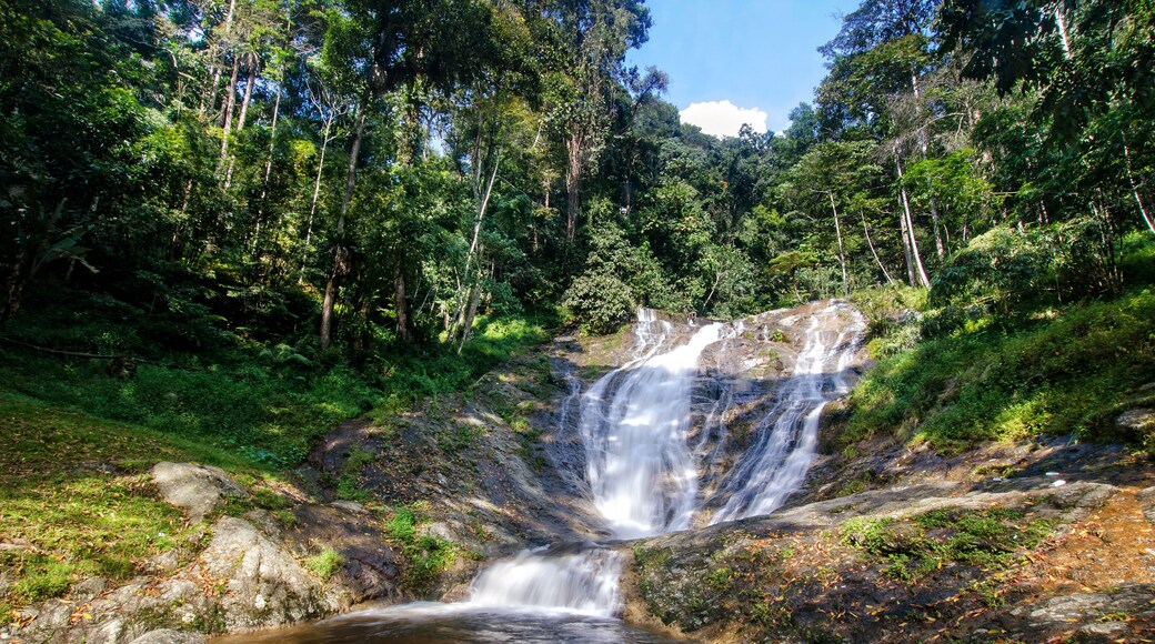 Lata Iskandar Waterfall Cameron Highlands