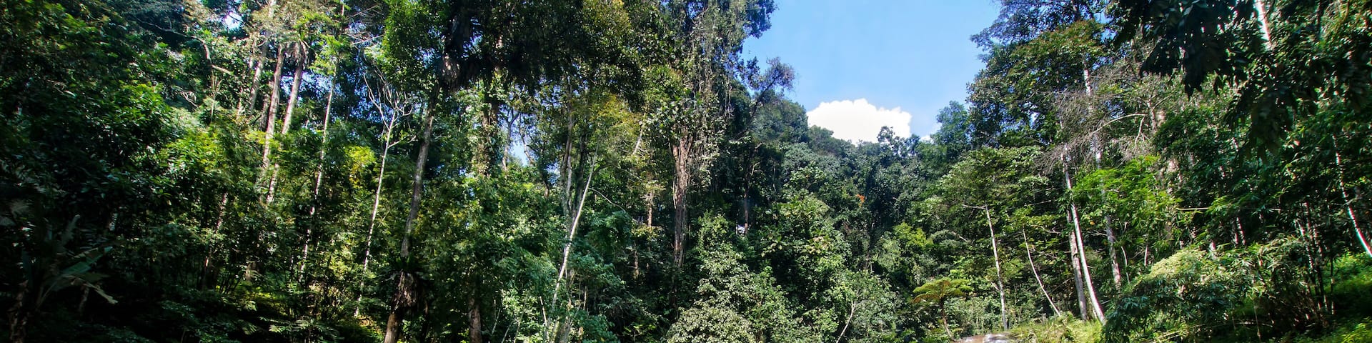 Lata Iskandar Waterfall Cameron Highlands