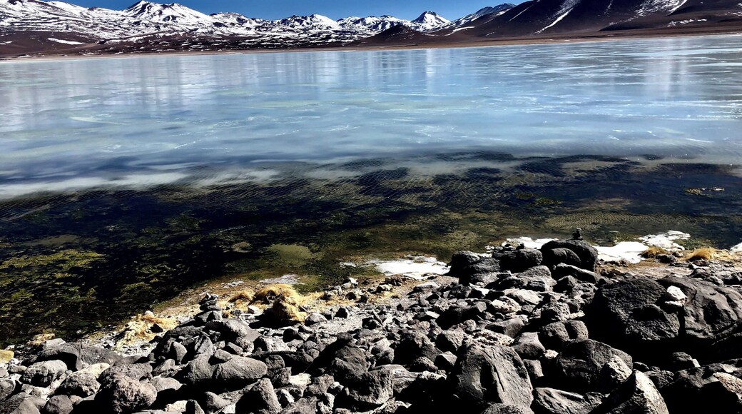 One of the first stops in my three day tour to the Salt Flats