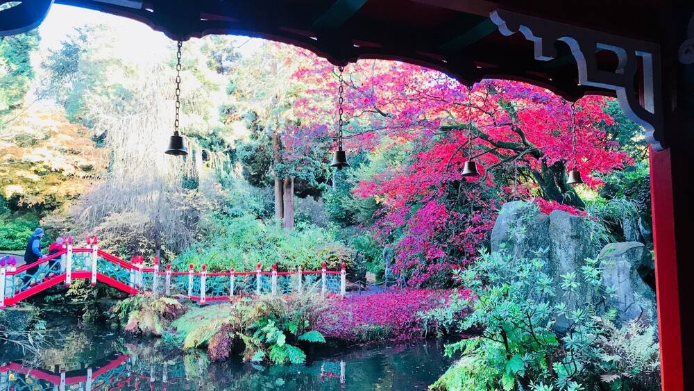 Ein friedlicher Garten mit einer roten Brücke, leuchtend rosa und roter Vegetation und einem ruhigen Teich.