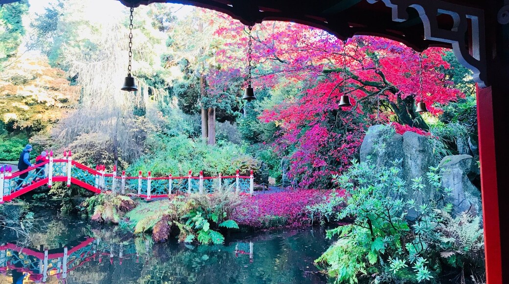 This amazing Victorian garden was created by James Bateman for his collection of plants from around the world. A visit takes you on a global journey from Italy to the pyramids of Egypt, a Victorian vision of China and a re-creation of a Himalayan glen.
The garden features collections of rhododendrons, summer bedding displays, a stunning Dahlia Walk in late summer and the oldest surviving golden larch in Britain, brought from China in the 1850s.
The Geological Gallery shows how Bateman's interests went beyond botany. Opened in 1862 the unique hallway is a Victorian attempt to reconcile geology and theology.
There are narrow gravel paths and over 400 steps throughout the garden.