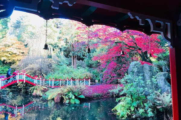This amazing Victorian garden was created by James Bateman for his collection of plants from around the world. A visit takes you on a global journey from Italy to the pyramids of Egypt, a Victorian vision of China and a re-creation of a Himalayan glen.
The garden features collections of rhododendrons, summer bedding displays, a stunning Dahlia Walk in late summer and the oldest surviving golden larch in Britain, brought from China in the 1850s.
The Geological Gallery shows how Bateman's interests went beyond botany. Opened in 1862 the unique hallway is a Victorian attempt to reconcile geology and theology.
There are narrow gravel paths and over 400 steps throughout the garden.