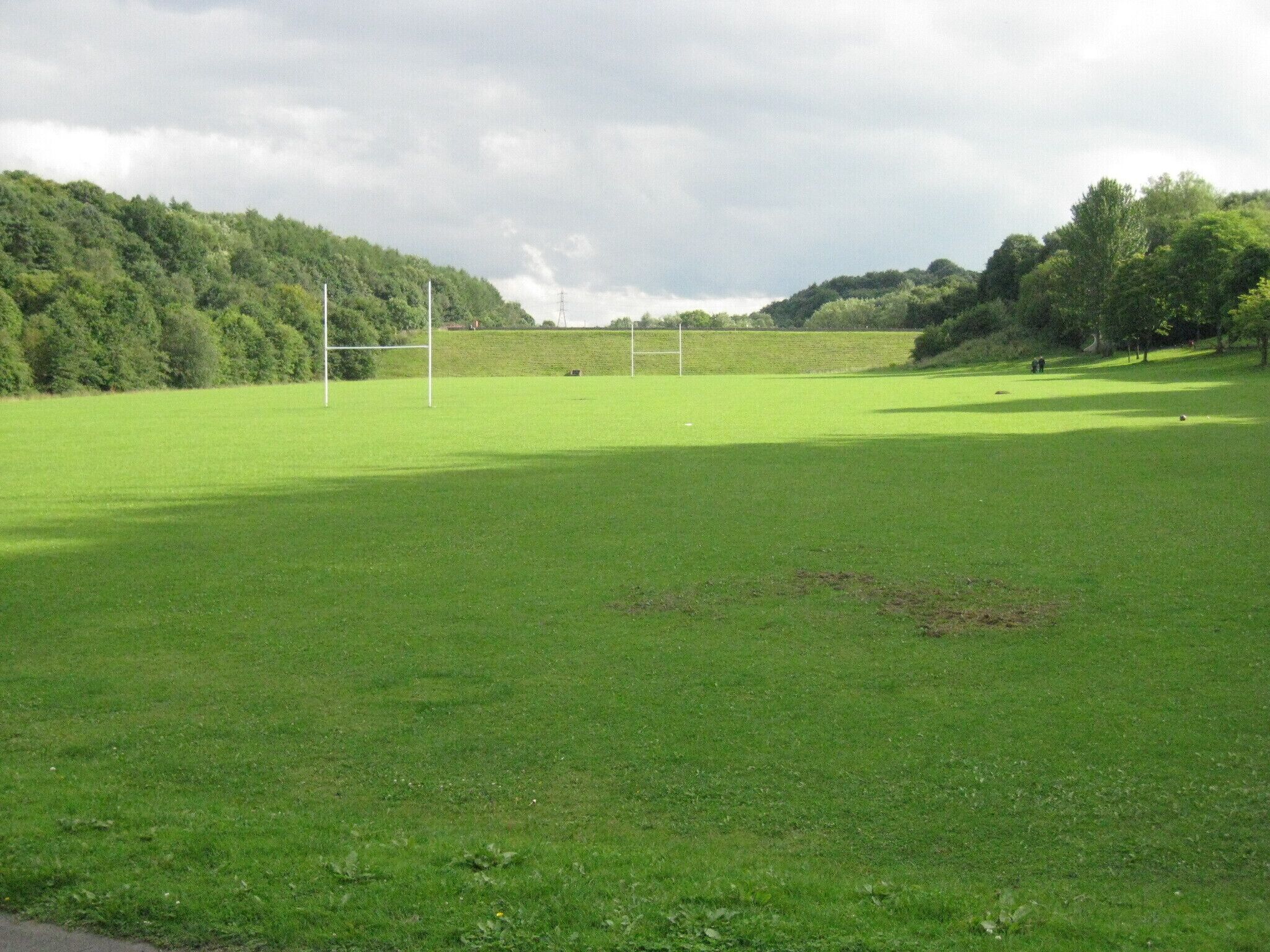 A green field with a goalpost and trees in the background.