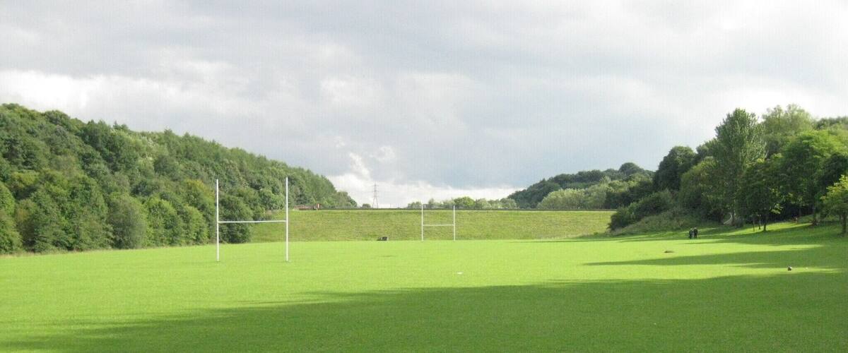 A green field with a goalpost and trees in the background.