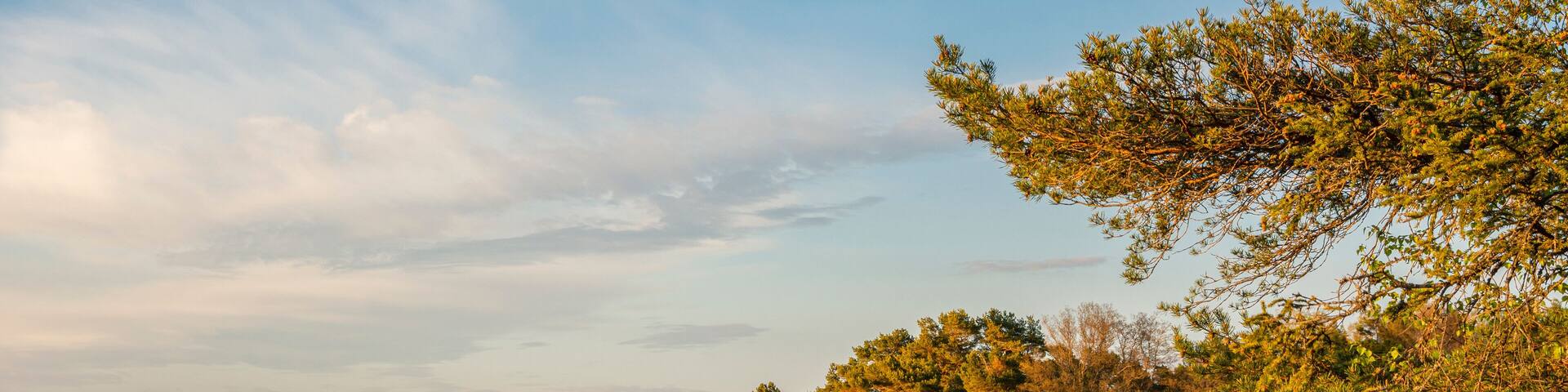 Evening view of the shore and the sea, Korpo island, Finland
