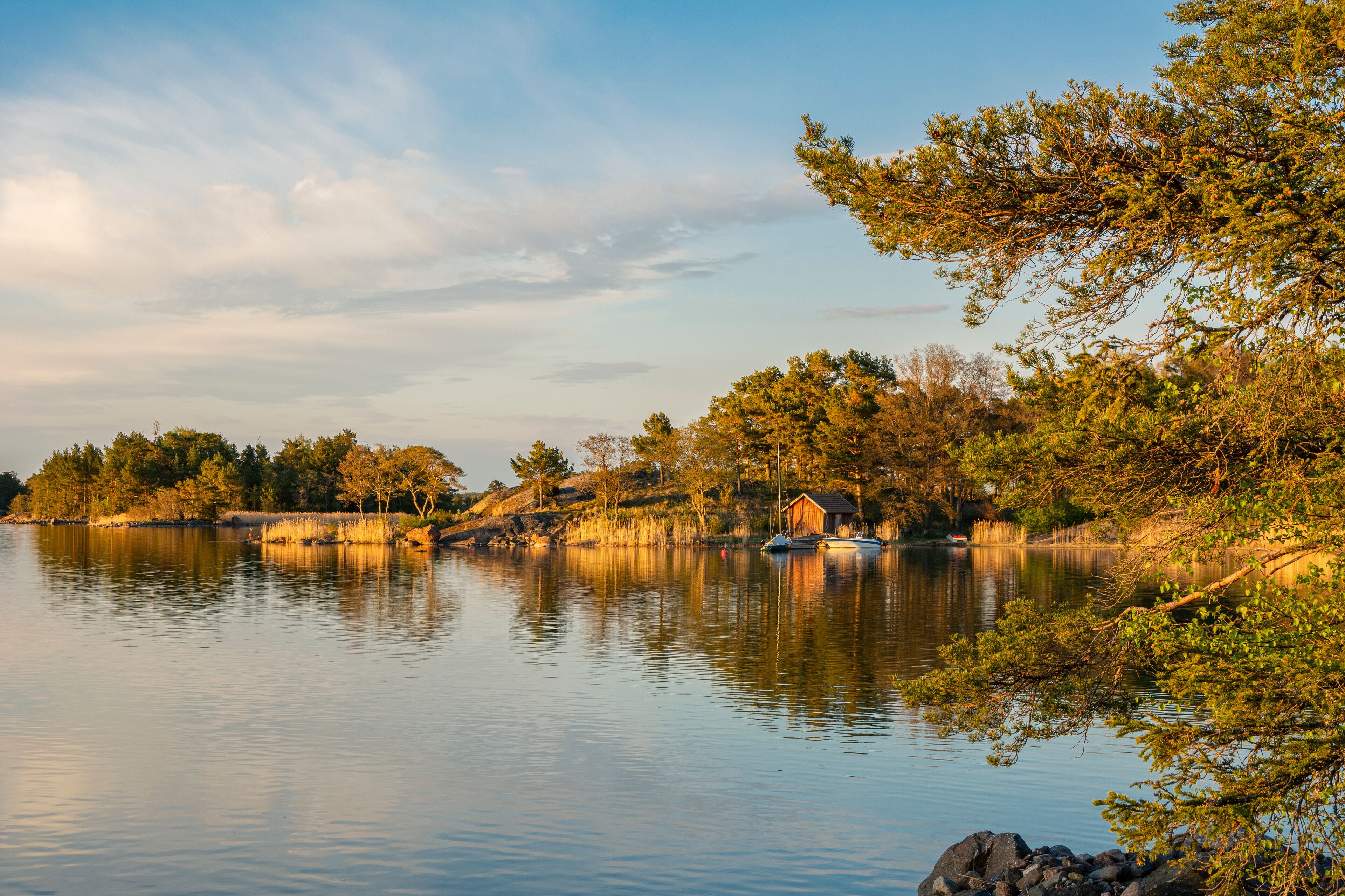 A calm lake with boats, trees, and a small wooden structure on the shore.