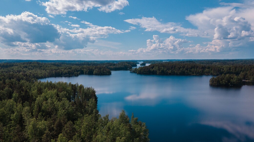 กูห์โมยเนน