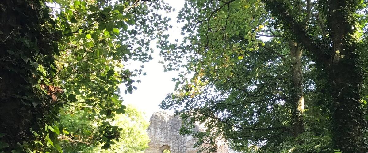 Ewloe Castle was built around 1257 by Llywelyn ap Gruffudd and is hidden in the beautiful Wepre Woods. #EndlessSummer