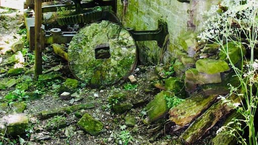 Beautiful walk near hawarden