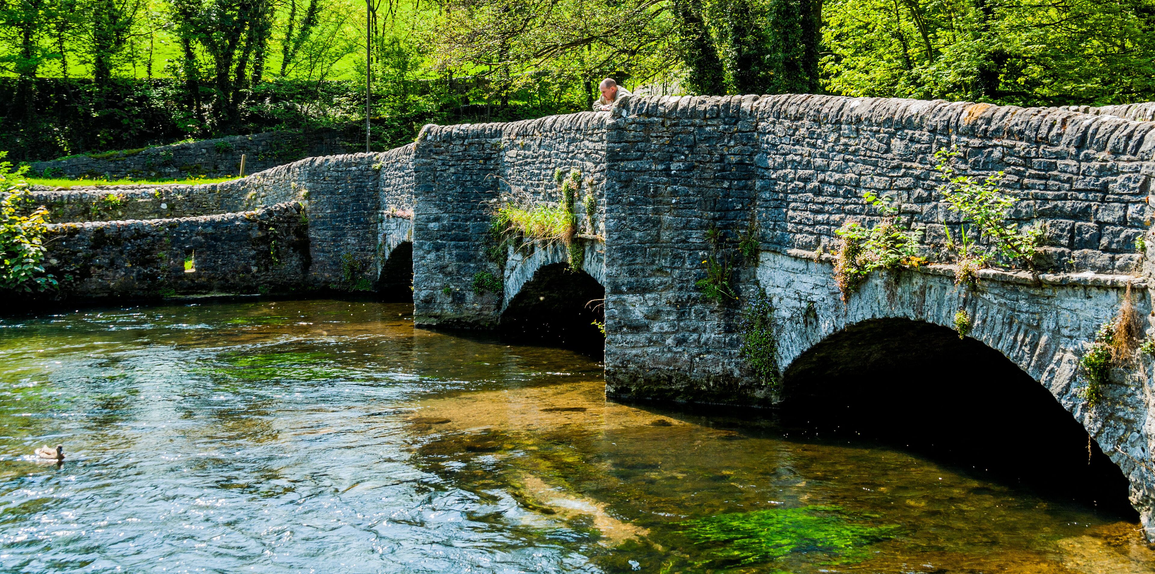 A stone bridge over a river with greenery around.