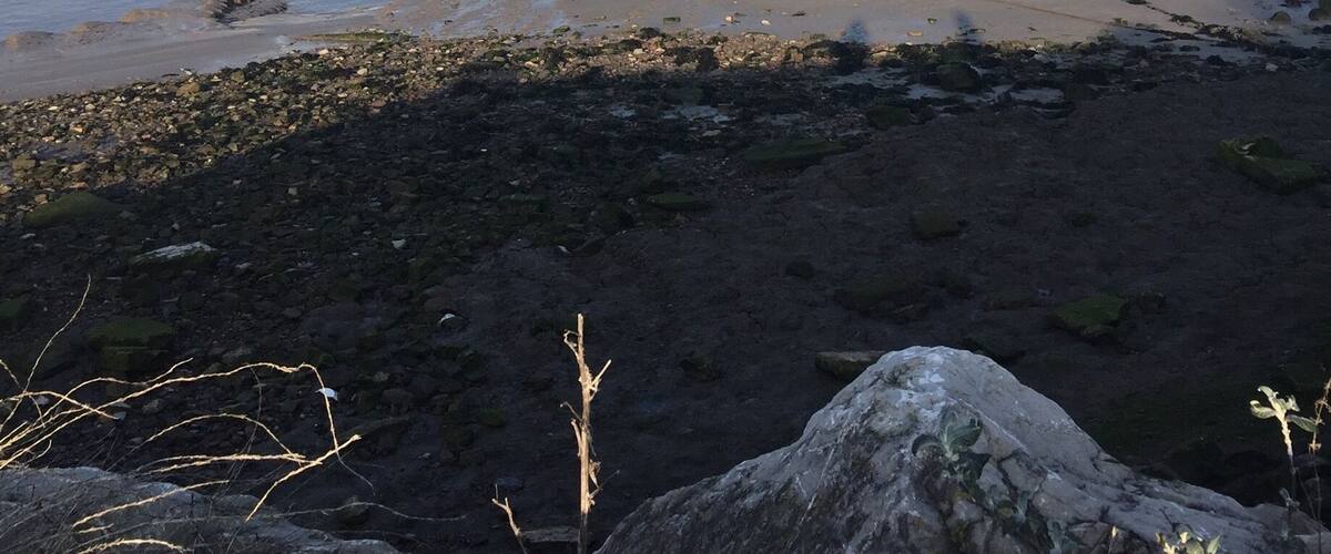 A rocky shoreline with several boats anchored near the water's edge.