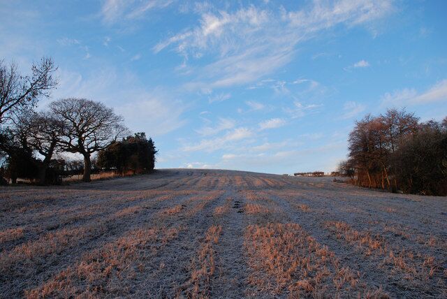 Frosty morning Looking uphill towards the castle site which is over the rise to the left beyond the trees.