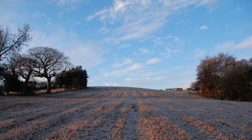 Frosty morning Looking uphill towards the castle site which is over the rise to the left beyond the trees.
