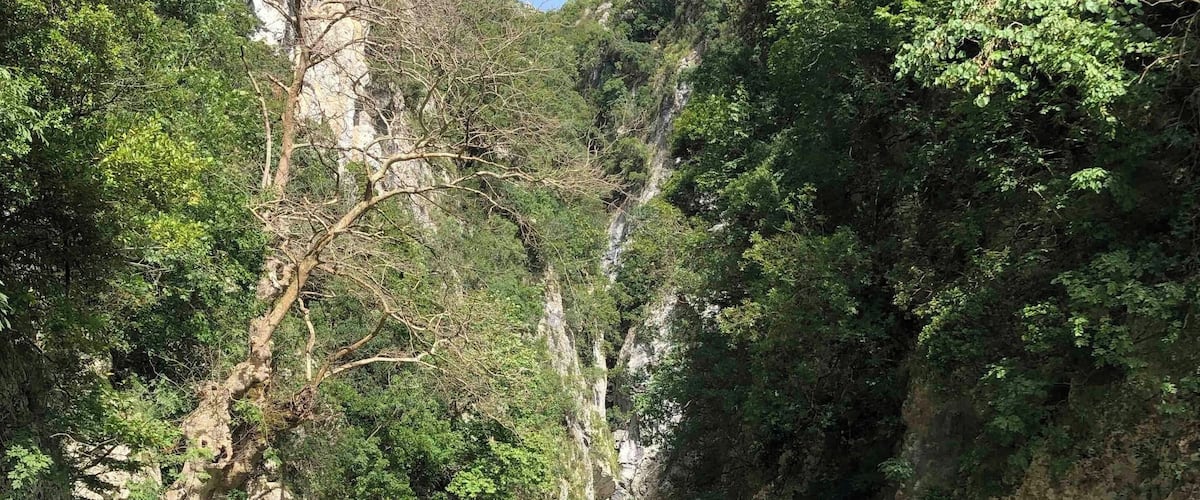 A clear river surrounded by rocky cliffs and dense greenery.
